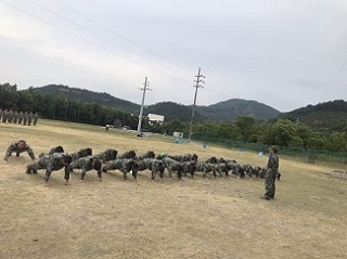 “激情熔煉團隊，凝聚成就夢醒”-誠立&邁思德2019年團建活動